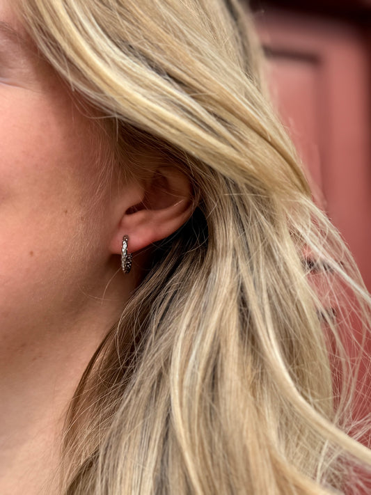 Jenna Øreringe Hoops