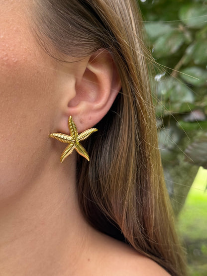 Starfish Øreringe
