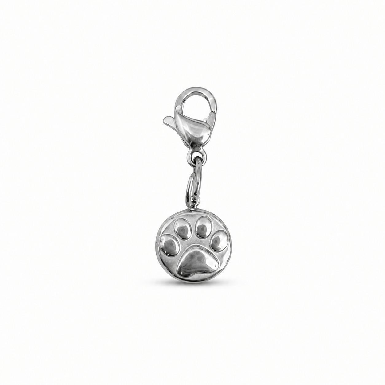 Pet Charm