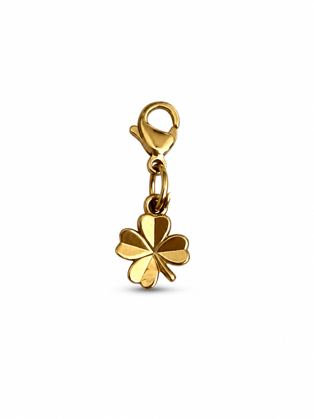 Lucky Charm