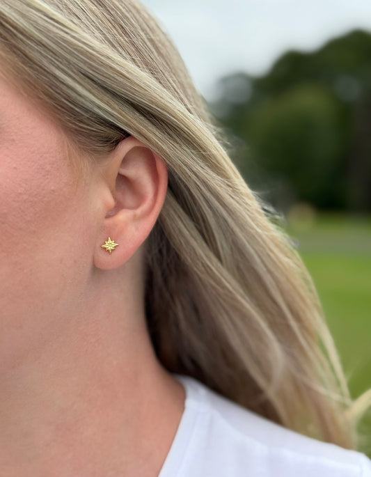 Shooting Star Øreringe