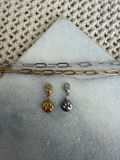 Pet Charm
