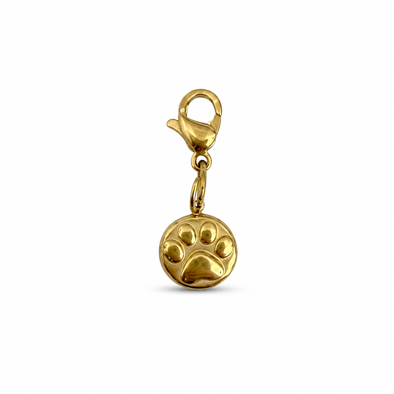 Pet Charm